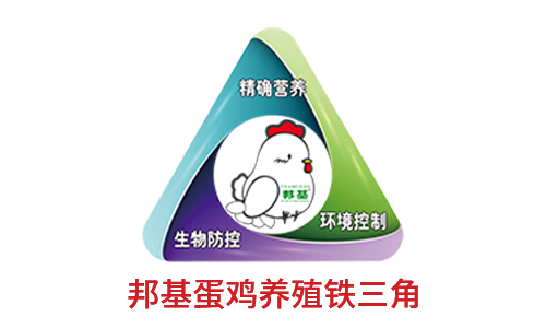 凯时平台·(中国区)官方网站_产品7049