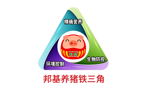 凯时平台·(中国区)官方网站_产品3624